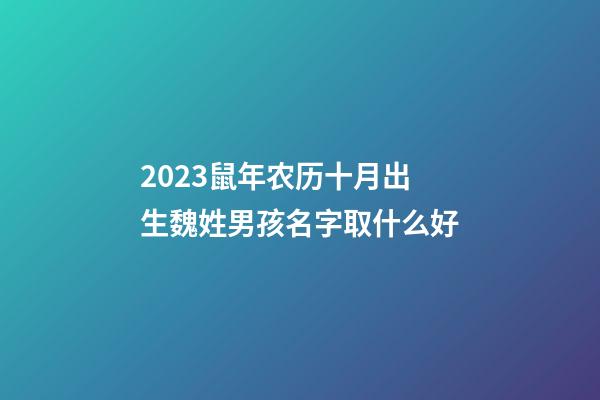 2023鼠年农历十月出生魏姓男孩名字取什么好