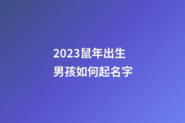2023鼠年出生男孩如何起名字