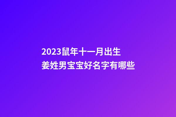 2023鼠年十一月出生姜姓男宝宝好名字有哪些