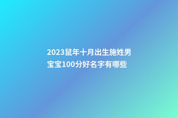 2023鼠年十月出生施姓男宝宝100分好名字有哪些
