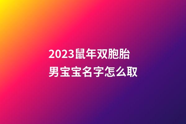 2023鼠年双胞胎男宝宝名字怎么取