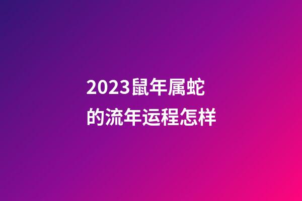 2023鼠年属蛇的流年运程怎样