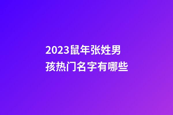 2023鼠年张姓男孩热门名字有哪些