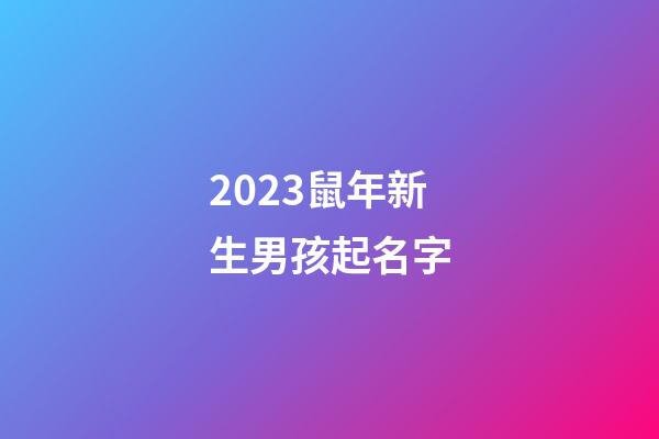 2023鼠年新生男孩起名字