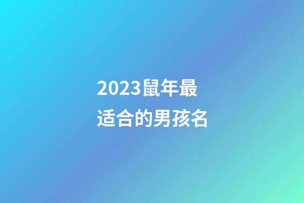 2023鼠年最适合的男孩名