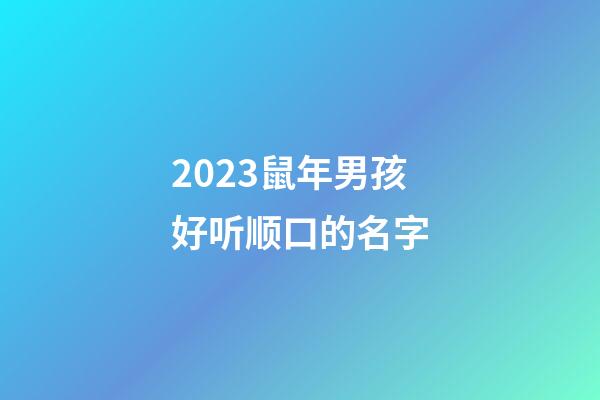 2023鼠年男孩好听顺口的名字