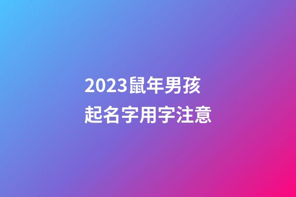 2023鼠年男孩起名字用字注意