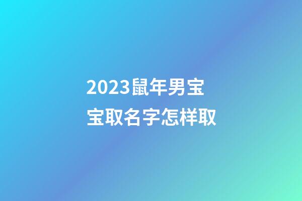 2023鼠年男宝宝取名字怎样取