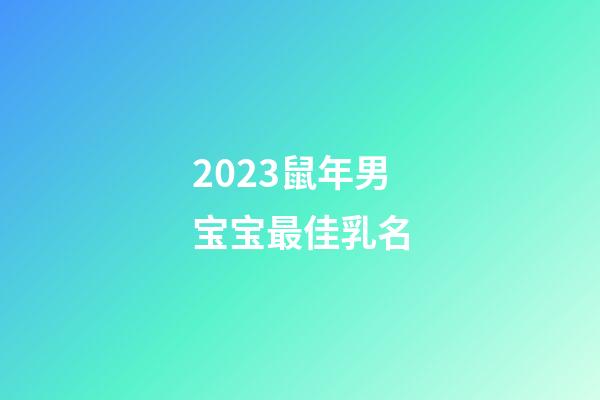 2023鼠年男宝宝最佳乳名