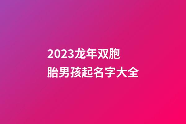 2023龙年双胞胎男孩起名字大全