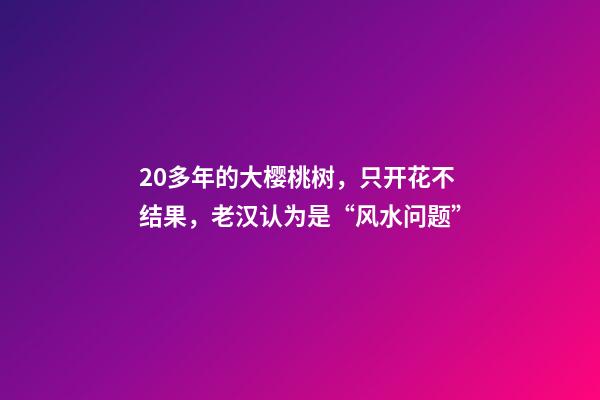 20多年的大樱桃树，只开花不结果，老汉认为是“风水问题”