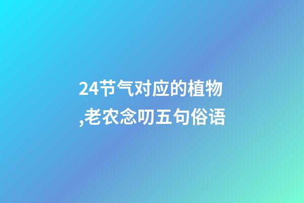 24节气对应的植物,老农念叨五句俗语-第1张-观点-玄机派