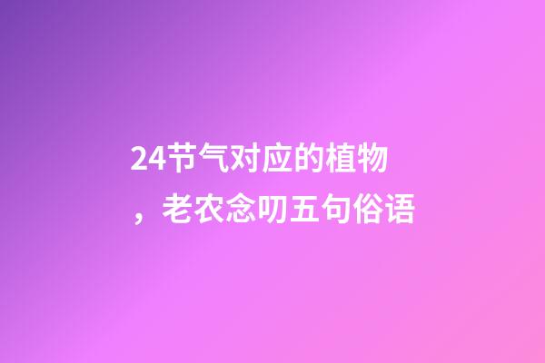 24节气对应的植物，老农念叨五句俗语-第1张-观点-玄机派