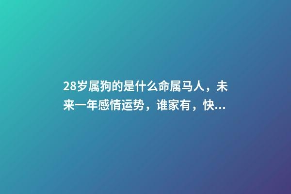 28岁属狗的是什么命(1990年(28岁)属马人，未来一年感情运势，谁家有，快快接住!)-第1张-观点-玄机派