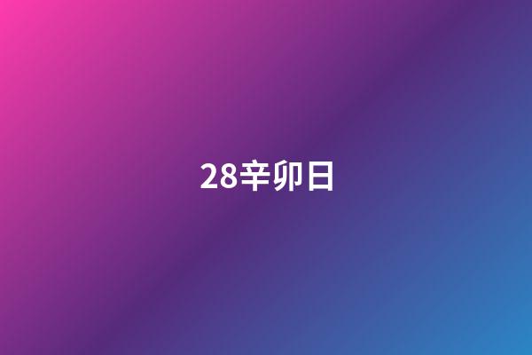 28.辛卯日