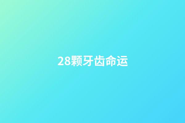 28颗牙齿命运