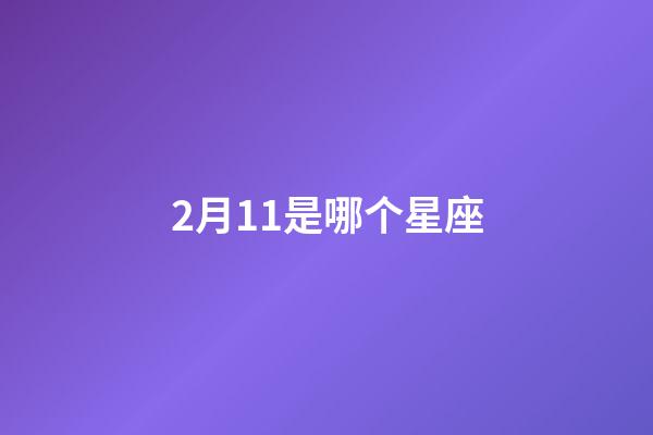 2月11是哪个星座-第1张-星座运势-玄机派
