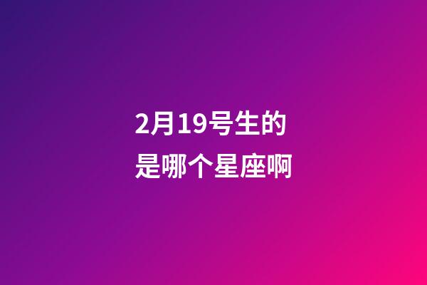 2月19号生的是哪个星座啊-第1张-星座运势-玄机派
