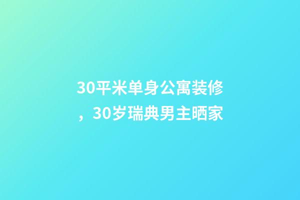 30平米单身公寓装修，30岁瑞典男主晒家-第1张-观点-玄机派