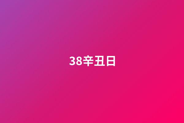 38.辛丑日