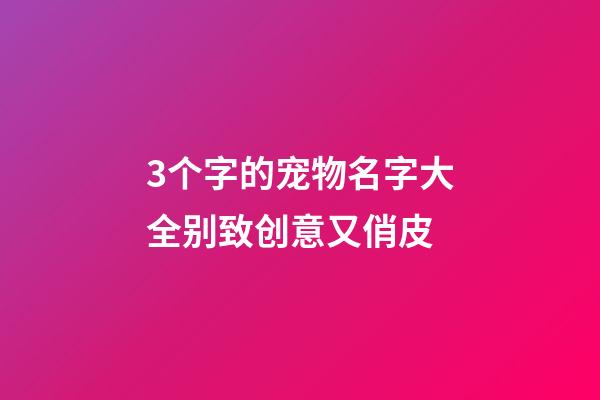 3个字的宠物名字大全别致创意又俏皮