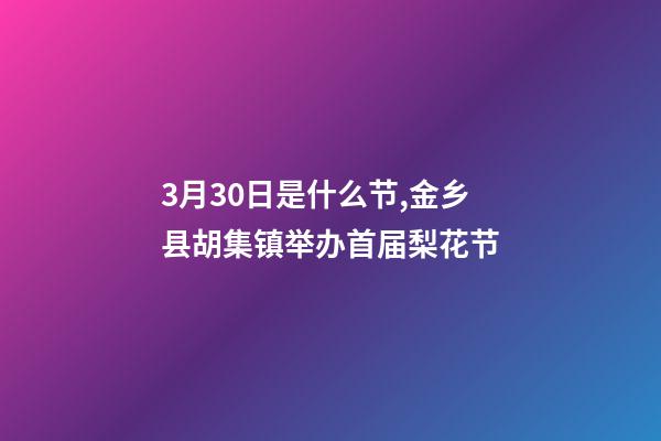 3月30日是什么节,金乡县胡集镇举办首届梨花节-第1张-观点-玄机派