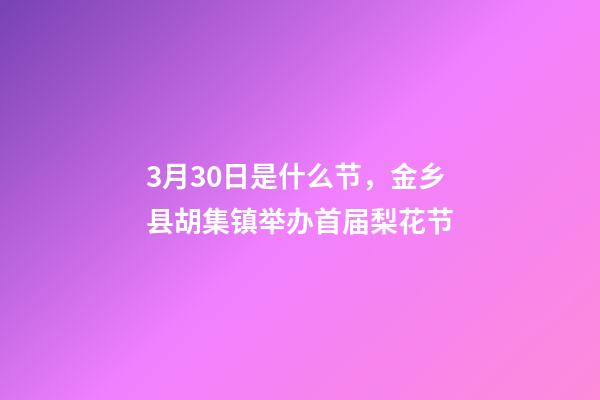 3月30日是什么节，金乡县胡集镇举办首届梨花节-第1张-观点-玄机派