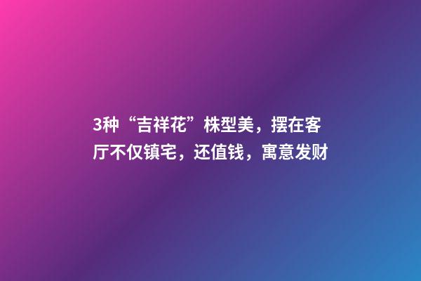 3种“吉祥花”株型美，摆在客厅不仅镇宅，还值钱，寓意发财