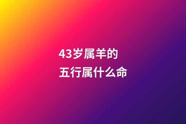 43岁属羊的五行属什么命(口述：从月工资1000到年收入百万，我过得越来越累，越来越不快乐)-第1张-观点-玄机派