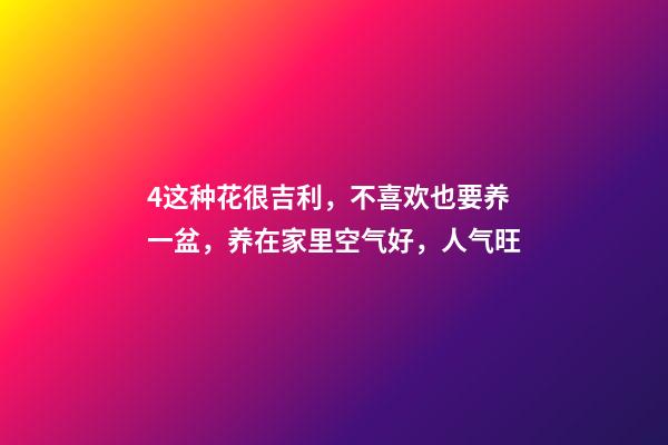 4这种花很吉利，不喜欢也要养一盆，养在家里空气好，人气旺