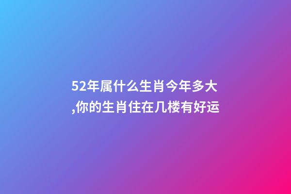 52年属什么生肖今年多大,你的生肖住在几楼有好运-第1张-观点-玄机派