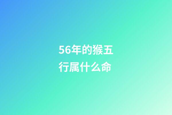 56年的猴五行属什么命(2018年爱情甜蜜的属猴之人)-第1张-观点-玄机派