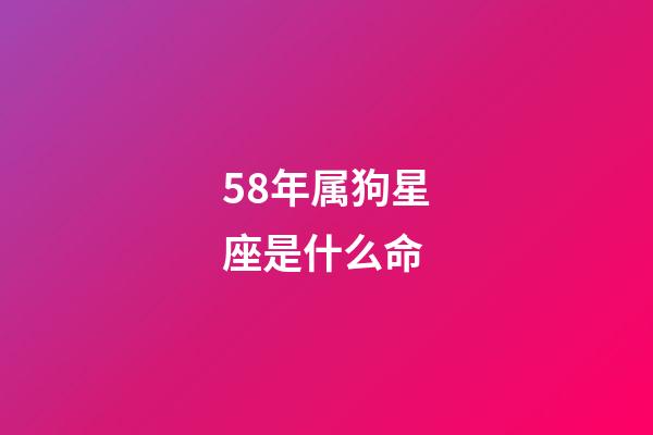58年属狗星座是什么命-第1张-星座运势-玄机派