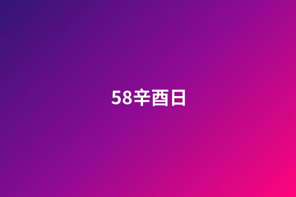 58.辛酉日