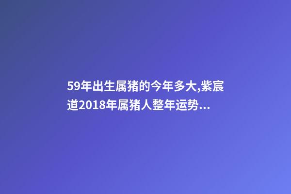 59年出生属猪的今年多大,紫宸道2018年属猪人整年运势解析-第1张-观点-玄机派