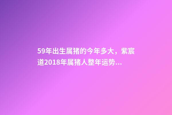 59年出生属猪的今年多大，紫宸道2018年属猪人整年运势解析-第1张-观点-玄机派