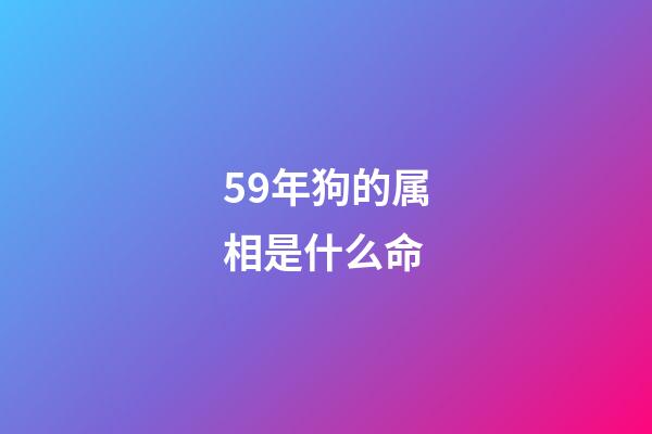 59年狗的属相是什么命(2018年鼠马生肖运程)-第1张-观点-玄机派