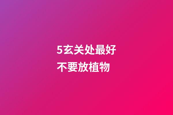 5玄关处最好不要放植物