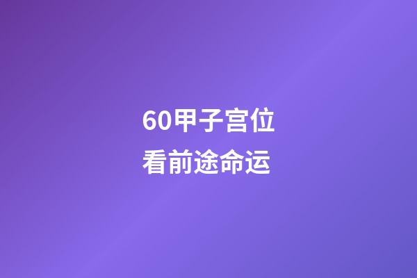 60甲子宫位看前途命运