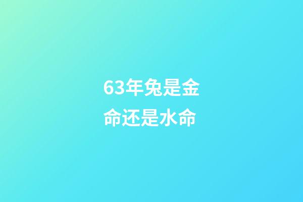 63年兔是金命还是水命(1963年出生的人不用交社保了吗？)-第1张-观点-玄机派
