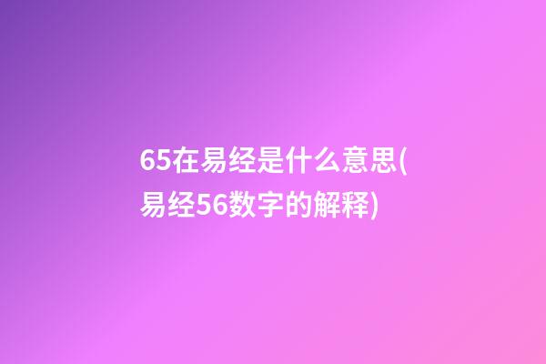 65在易经是什么意思(易经56数字的解释)