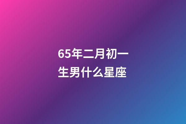 65年二月初一生男什么星座-第1张-星座运势-玄机派