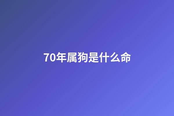 70年属狗是什么命(70年属狗女一生命运如何？)
