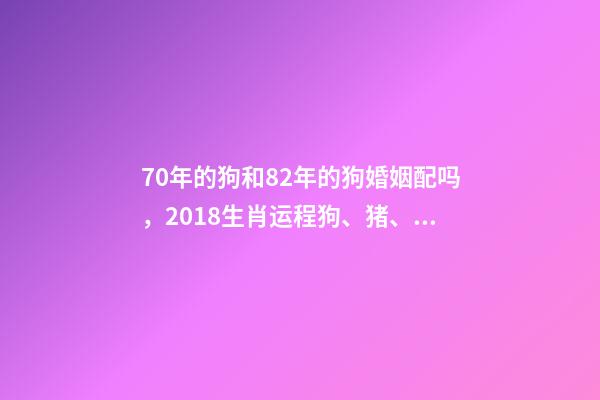 70年的狗和82年的狗婚姻配吗，2018生肖运程狗、猪、鼠、牛、虎、兔-第1张-观点-玄机派