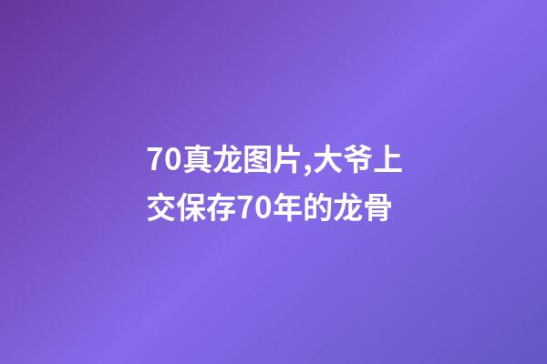 70真龙图片,大爷上交保存70年的龙骨-第1张-观点-玄机派