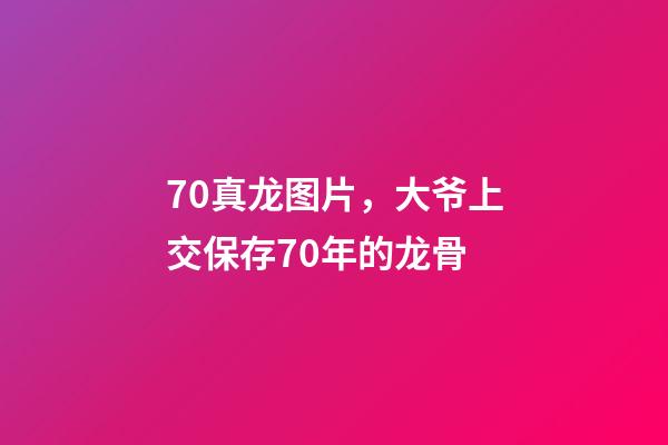 70真龙图片，大爷上交保存70年的龙骨-第1张-观点-玄机派