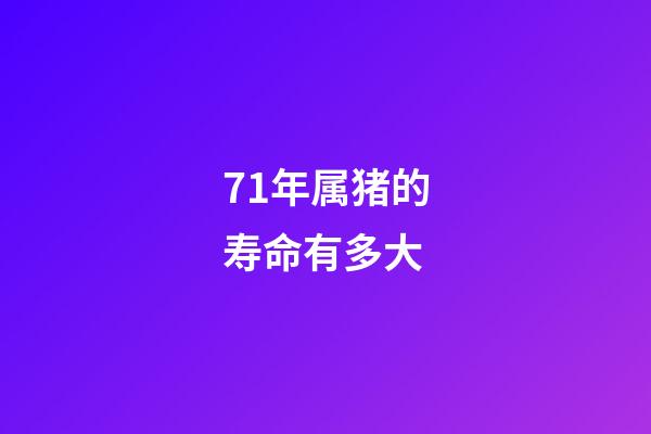 71年属猪的寿命有多大(从猪到人，看生于忧患，死于安乐)-第1张-观点-玄机派