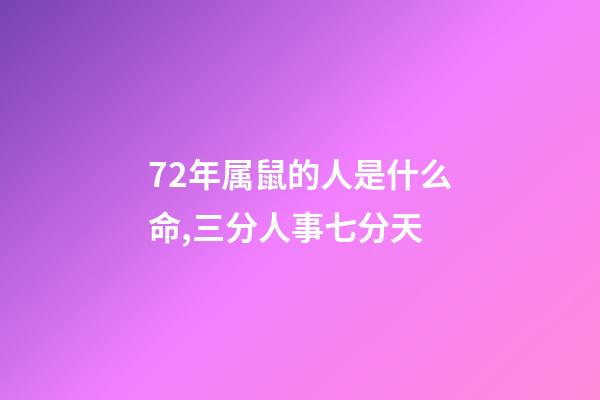 72年属鼠的人是什么命,三分人事七分天-第1张-观点-玄机派
