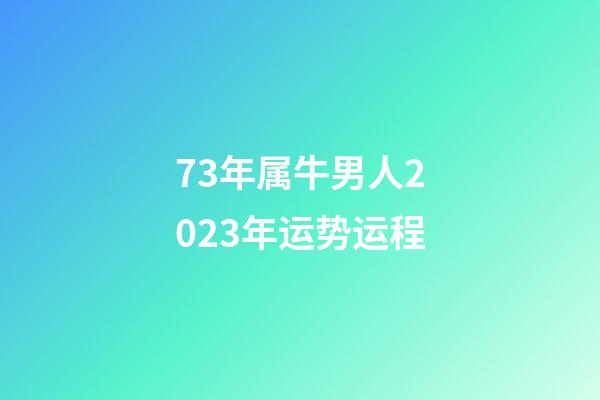 73年属牛男人2023年运势运程