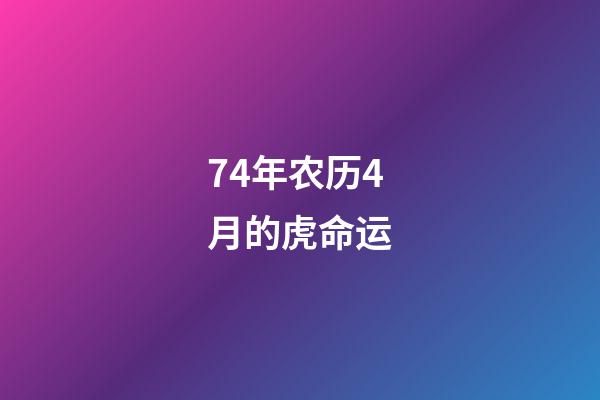 74年农历4月的虎命运(虎叔 第七十四章 第四集)-第1张-观点-玄机派